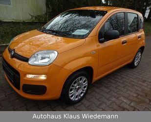 Fiat Fiat New Panda 1.2 8V EASY - 1.Hd./32 TKM Gebrauchtwagen