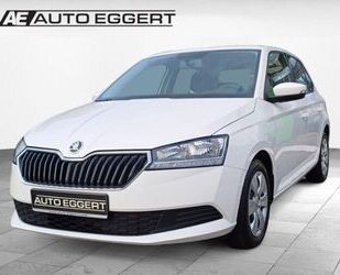 Skoda Skoda Fabia Active MPI EU6d ACT MP44 1.0 M5F Sperr Gebrauchtwagen