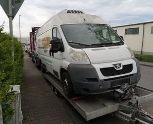 Peugeot Peugeot Boxer MAXI KÜHLBUS--Kühlwagen ~KONVEKTA~ Gebrauchtwagen