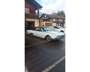 Ford Ford Thunderbird Gebrauchtwagen