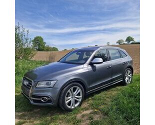 Audi Audi SQ5 TDI *B&O*Xenon*Navi*Pano*Tempomat* Gebrauchtwagen