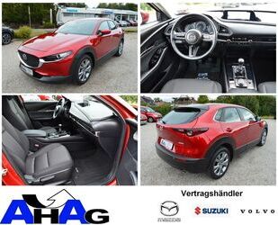 Mazda Mazda CX-30 2.0 e-SKYACTIV-G M-Hybrid Selection *L Gebrauchtwagen