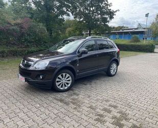 Opel Opel Antara Innovation 4X4 Gebrauchtwagen