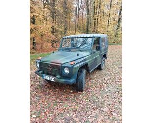 Mercedes-Benz Mercedes-Benz 250 GD Wolf Gebrauchtwagen