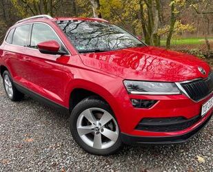 Skoda Skoda Karoq Ambition Navi Gebrauchtwagen