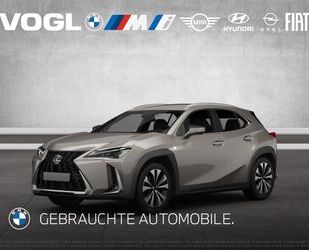 Toyota Toyota Lexus UX250H Gebrauchtwagen