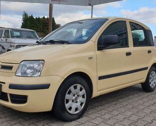 Fiat Fiat Panda 1.2 8V Dynamic, TÜV/AU 10/2025 Gebrauchtwagen