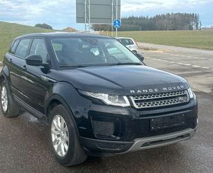 Land Rover Land Rover Range Rover Evoque Pure Gebrauchtwagen