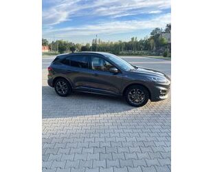 Ford Ford Kuga 1,5 EcoBoost ST-Line X ST-Line X Gebrauchtwagen