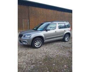 Skoda Skoda Yeti 2.0 TDI 4x4 Adventure Adventure Gebrauchtwagen