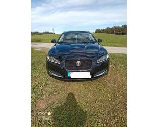 Jaguar Jaguar XF 2.2 L Diesel Sportbrake - Gebrauchtwagen