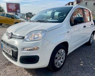 Fiat Fiat Panda Pop 1.2 LPG Euro6 1. Hand Klima TÜV 09/ Gebrauchtwagen