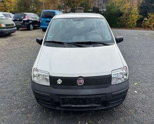 Fiat Fiat Panda 1.1 8V Active*1 HAND* Gebrauchtwagen