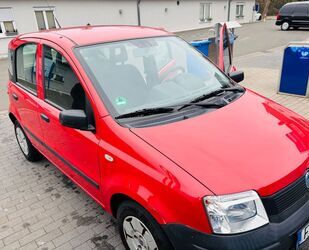 Fiat Fiat Panda Gebrauchtwagen