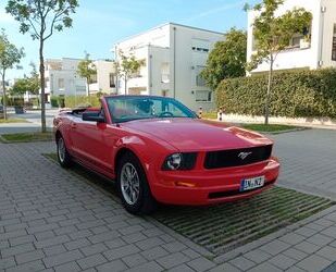 Ford Ford Mustang Gebrauchtwagen