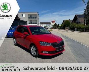 Skoda Skoda Fabia EDITION 100 TEMPOMAT+RÜCKFAHRKAMERA+AL Gebrauchtwagen