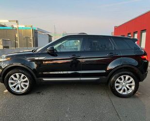 Land Rover Land Rover Range Rover Evoque SE Panorama 1-Hand Gebrauchtwagen