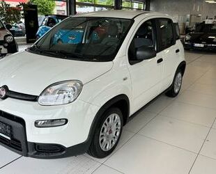 Fiat Fiat Panda 1,0 70PS Hybrid City*678 Gebrauchtwagen