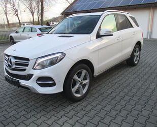 Mercedes-Benz Mercedes-Benz GLE 250 d 4MATIC -AHK-Leder-Comand++ Gebrauchtwagen