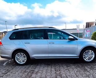 VW Volkswagen Golf 1.6 TDI BMT CUP Variant CUP Gebrauchtwagen