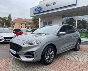 Ford Ford Kuga 1.5 ST-Line X / Kamera+Navi+B&O Gebrauchtwagen