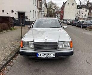 Mercedes-Benz Mercedes-Benz 250/H kenzeichen Gebrauchtwagen