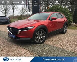 Mazda Mazda CX-30 150PS SELECTION Matrix-LED BOSE 360° Gebrauchtwagen