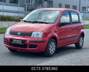 Fiat Fiat Panda Active*CITY-LENKUNG*5 TÜRIG*ZENTRAL*TÜV Gebrauchtwagen