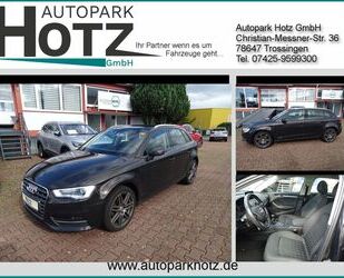 Audi Audi A3 1.6 TDI SB Pano Navi BiXe Dachreling 18Zol Gebrauchtwagen