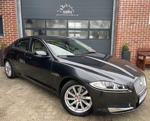 Jaguar Jaguar XF 2.2D AUTOM,LEDER,AHK,XENON Gebrauchtwagen