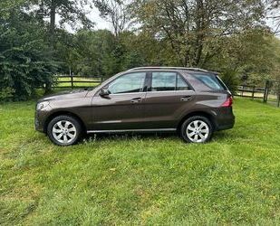 Mercedes-Benz Mercedes-Benz GLE 350 d 4MATIC - Gebrauchtwagen