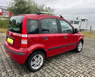 Fiat Fiat Panda Gebrauchtwagen