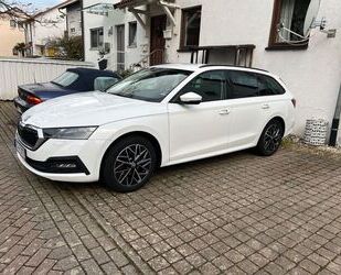 Skoda Skoda Octavia 2.0 TDI 110kW DSG AMBITION COMBI AMB Gebrauchtwagen