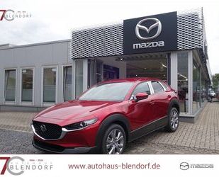 Mazda Mazda CX-30 Exclusive-Line X 186 Automatik|Matrix- Gebrauchtwagen