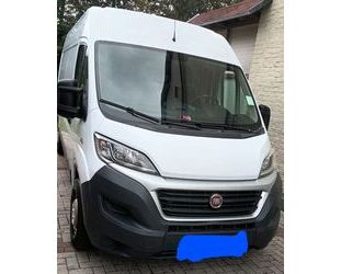 Fiat Fiat Ducato Gebrauchtwagen