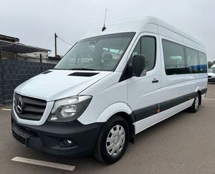 Mercedes-Benz Mercedes-Benz Sprinter 314 MAXI Aut Rampe Standh 2 Gebrauchtwagen