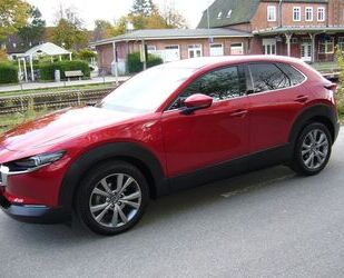 Mazda Mazda CX-30 2.0 SKYACTIV-G M-Hybrid Selection Sele Gebrauchtwagen