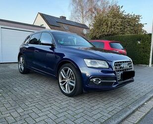 Audi Audi SQ5 3.0 TDI tiptronic quattro - Panoramadach Gebrauchtwagen