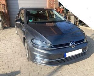 VW Volkswagen Golf 2.0 TDI SCR IQ.DRIVE IQ.DRIVE Gebrauchtwagen