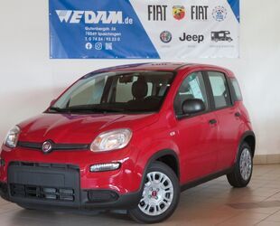 Fiat Fiat Panda Base 1.0 MildHybrid *KomfortPak* Gebrauchtwagen