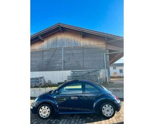 VW Volkswagen Beetle Gebrauchtwagen