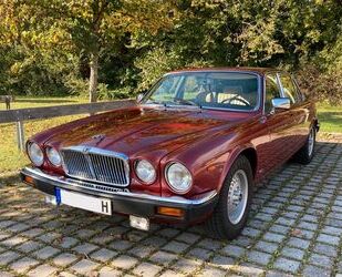 Jaguar Jaguar XJ6 Serie III - H-Zulassung - Sammlerzustan Gebrauchtwagen