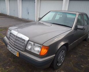 Mercedes-Benz Mercedes-Benz W14 250 diesel Gebrauchtwagen