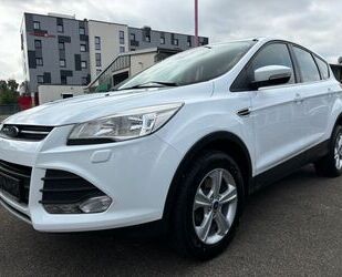 Ford Ford Kuga Sync Edition Gebrauchtwagen