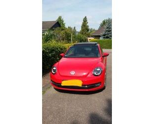 VW Volkswagen VW Beetle Fender Edition Gebrauchtwagen