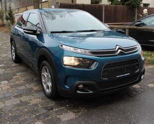 Citroen Citroën C4 Cactus 1.Hand Top gepflegt Gebrauchtwagen