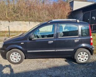 Fiat Fiat Panda Gebrauchtwagen