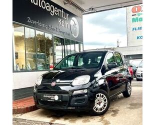 Fiat Panda Gebrauchtwagen