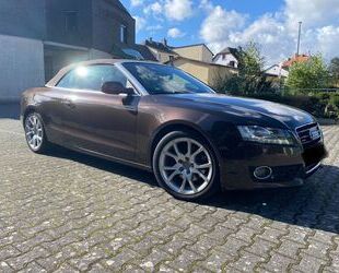 Audi Audi A5 3.0 TDI (DPF) S tronic quattro Cabriolet - Gebrauchtwagen