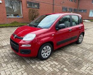 Fiat Fiat Panda More - Tüv 11 / 2025 - Klima Gebrauchtwagen